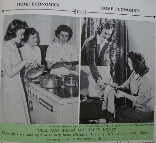 homeecwellrunhomes